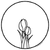 Einfach Tulpen