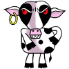 Angry cow