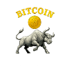 Bitcoin Bull Run