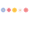 Blooming in silence