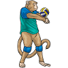 Monkey Volleyball Player Volleyball