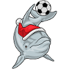 Dolphin Christmas Football
