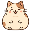 Cute Fat Cat