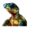 Turtle Sunglasses Summer