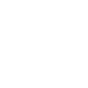Anti-Slap Brigade - BAP