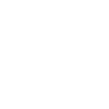 Stylized wolf with flying birds