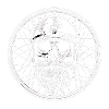 Skull'n'Spokewheel