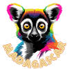 Lémurien de Madagascar