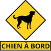 Hund an Bord