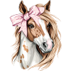 Coquette Bow Appaloosa Horse Girl Mom Pink