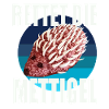 Save the Mettigel