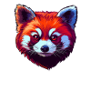 Red Panda Portrait