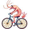 Shrimp Radfahrer auf dem Fahrrad