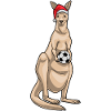 Kangaroo Christmas Football