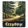 Erzgebirge Waldweg wanderweg
