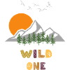 Wilderness with mountains and sunset