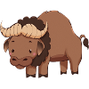 Buffalo