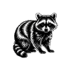 Waschbär