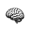 ADHD Brain Social Club Chaos
