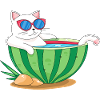 Chat et pastèque