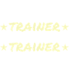 Handball coaches are much cooler