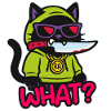 Black Cat WHAT?