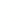 Snowboarder Snowboarding Snowboard