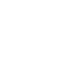 ludo ergo sum - jeg spiller derfor jeg - siger