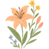 Lily Bloom
