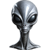 Vrai Grand Gris Alien Extraterrestre