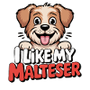 J’aime mon Malteser Hundeliebe