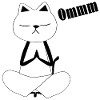 Nekochan Antonio Yoga