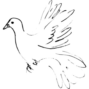 taube friedlichzusammen