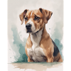 Chien Portrait Aquarelle