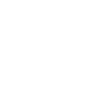 Bali Palm Trees