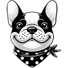 Bouledogue français avec bandana
