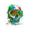 Ski Skull Ski Goggles