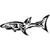 Shark
