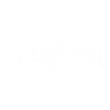 Shark w