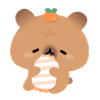 Capybara endormi
