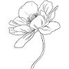 Fleur3