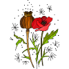 Blumen