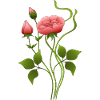 Blumen
