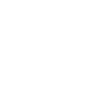 Developer - Dev