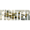 Chasseur P-38 Lightning