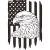 Majestic Eagle America Flag Design
