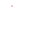 Lapin albinos