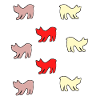 Chats sans queue