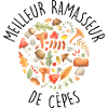 Cèpe Champignons champignon Ramasseur Cueillette