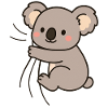 Dear little koala